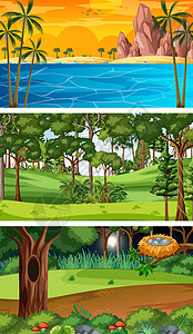 海舌公园不同时间的不同森林水平场景集天空辉光天气全景季节丛林气候自然橙子海滩设计图片