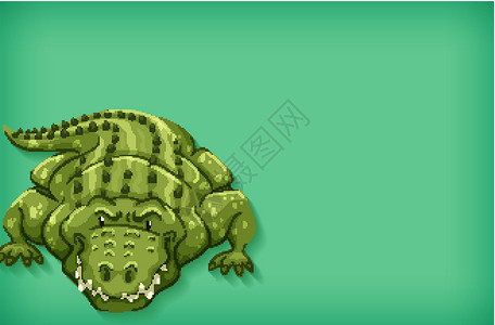 具有纯色和鳄鱼的背景模板设计动物群动物卡通片空白野生动物艺术爬虫生物环境绿色背景图片