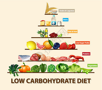 低碳食物低碳水化合物饮食图学习水果信息谷物肥胖牛奶生物蔬菜图表糖类插画