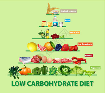 低碳食物低碳水化合物饮食图插图学习图表信息方案教育面包糖类碳水坚果插画