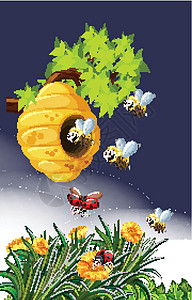 自然界中的蜜蜂和瓢虫背景图片