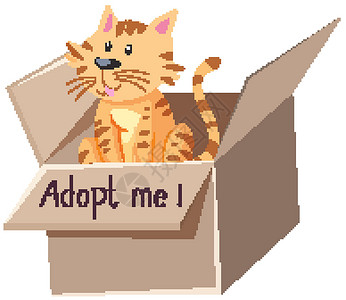 我养你啊盒子里有可爱的猫或小猫 在盒子卡通隔离物上收养我的文字插画