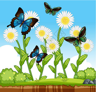 花园里有很多蝴蝶和很多花花瓣场景漏洞花朵插图动物群卡通片昆虫绿色收藏背景图片