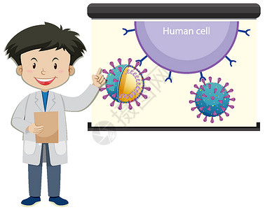 卡通风格的投影仪屏幕上有人体细胞的医生插画