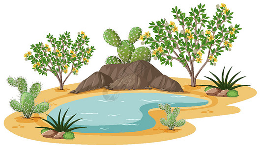 沙漠中的仙人掌背景手绘图白背景野生沙漠中的杂酚油布什植物荒野插图天气干旱太阳绿洲夹子卡通片沙丘森林插画