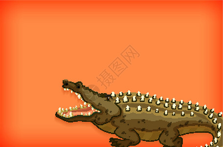 具有纯色和鳄鱼的背景模板设计卡通片动物园爬虫环境动物生物绘画橙子艺术野生动物背景图片