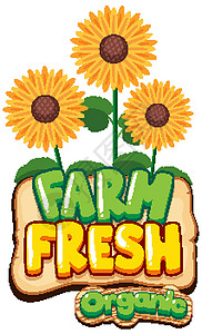 向日葵词新鲜农场字体设计植物字母插图农业指示牌贴纸农作物框架产品国家背景图片