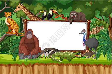 热带雨林场景中的空白横幅与野生动物风景动物哺乳动物旅行动物学雨林插图冒险木头边界背景图片