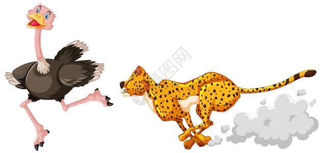 野豹白色背景下卡通人物中的猎豹猎鸵鸟插画