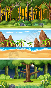 荒野公园不同时间的不同森林水平场景集海滩日出国家卡通片棕榈日落荒野团体环境季节插画
