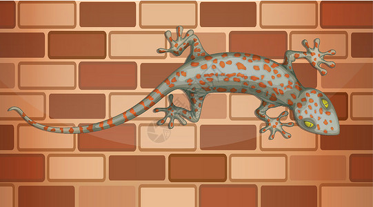 墙蜥蜴壁虎在卡通风格的砖墙上插画