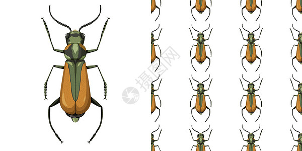 玛拉昆虫和无缝背景插画