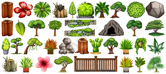 连翘装饰灌木白色背景上孤立的一组不同性质卡通片环境场景艺术植物木材卵石叶子绘画树叶设计图片