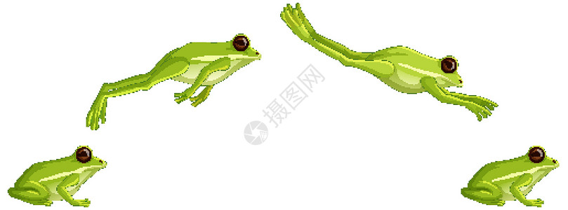 白色背景上孤立的绿色树蛙跳跃序列插画