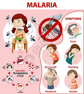 传播途径疟疾症状信息图表生物指示牌寄生虫卫生插图药品发烧蚊子昆虫框架插画