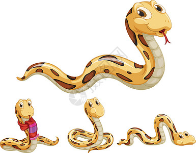 可怕且致命蛇蛇系列艺术围巾卡通片荒野捕食者动画乐趣绘画爬虫吉祥物设计图片