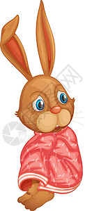 挤成一团兔子兔棕色耳朵动物蓝色发抖眼睛毯子织物卡通片粉色插画