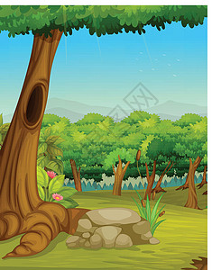 上坡下坡森林场景环境丛林生长树叶芦苇杂草树干爬坡场地天篷插画