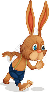 那兔年轻兔子兔衣服跑步宠物生物野生动物眼睛逃离哺乳动物动物毛皮插画