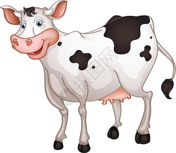 奶牛斑点奶牛黑色女性脚趾白色母牛斑点草图奶制品乳房牛奶插画