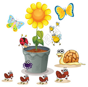 一群小蝴蝶花盆和昆虫雏菊绿色生物黄色植物绘画树叶卡通片蝴蝶动物设计图片