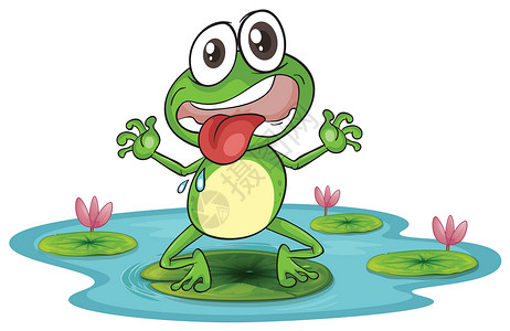 一只青蛙和一只水生物百合动物野生动物舌头两栖情绪草图荒野眼睛背景图片