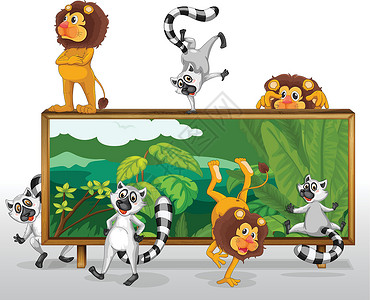 狮子和松鼠与野猪展示空格处乐趣木板舞蹈横幅荒野绘画草图卡通片背景图片