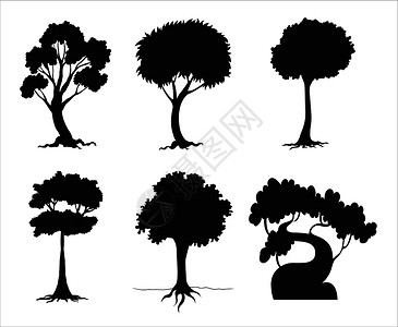 黑色树木树木树叶分支机构草图剪裁环境植物小路卡通片叶子剪影设计图片