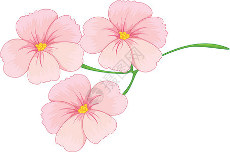 鲜花插图粉色花粉小路绘画白色卡通片草图生长剪裁背景图片