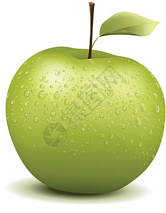 湿绿苹果水分珠子食物公司水果绿色照片营养叶子饮食背景图片