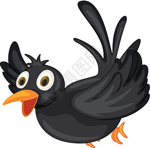 黑鸟卡通片孩子们生物雀科动物动画香椿羽毛飞行尾巴高清图片