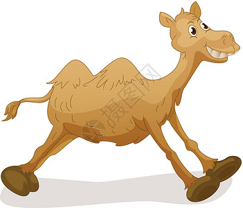 厚脸皮卡通动物骆驼跑步享受异国运动荒野驼峰微笑情调卡通片插画