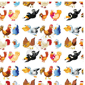 鸟类插图公鸡热带荒野白色卡通片平铺麻雀猫头鹰母鸡高清图片