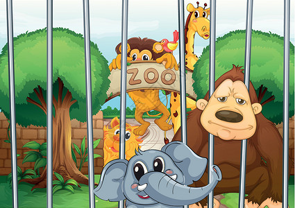 动物园动物动物园和动物卡通片狮子野生动物灌木金色绘画字母场景风景荒野设计图片