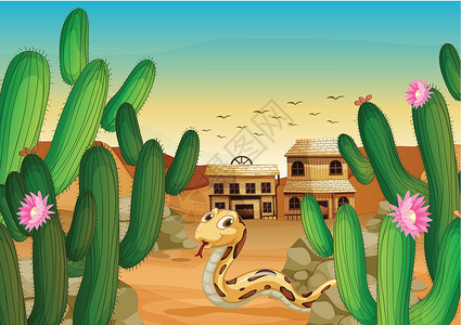 沙漠蛇建筑自然高清图片