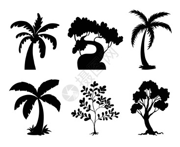 黑色树木树木卡通片叶子绘画树干草图环境小路白色黑色分支机构设计图片