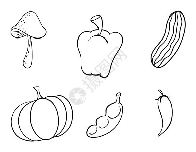 南瓜和青豆各种蔬菜剪贴线稿食品辣椒绘画沙拉线条营养农业夹子插画