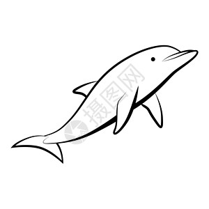 海豚的线条艺术矢量插图生活乐趣假期草图情调海洋哺乳动物热带水族馆标识背景图片