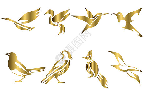 鹎各种鸟类的金色矢量图像集 如苍鹭蜂鸟喜鹊猎鹰海鸥和对符号吉祥物图标头像和日志的良好用途插画