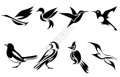 鹎各种鸟类的矢量图像集 如苍鹭蜂鸟喜鹊猎鹰海鸥和对符号吉祥物图标头像和日志的良好用途插画
