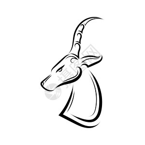 草原上羚羊黑斑羚头的黑白线条艺术动物园哺乳动物动物群食草标识喇叭涂鸦绘画插图鹿角设计图片
