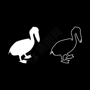 双鹅戏水Pelican 鸟海鸟海鸟水鸟双光环白色矢量说明固体轮廓风格图像荒野动物学动物动物园羽毛动物群插图翅膀野生动物插画