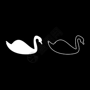 双鹅戏水Swan 鸟类水鸟双月光 白色颜色矢量说明固体轮廓风格图像插图动物动物园农场野生动物荒野插画