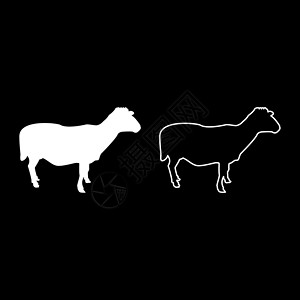 农牧业动物杂交 野羊牛蹄状浅色白色矢量显示固体轮廓图案风格 单位 千分之一偶数宠物野生动物村庄农家院农场内存羊肉羊毛插图背景图片