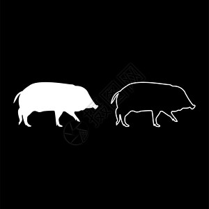 矢量猪野猪剪影白色矢量插图实体轮廓样式图像獠牙疣猪公猪哺乳动物动物群怪物动物园森林动物野生动物背景