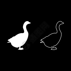 双鹅戏水双光周白色颜色矢量说明固体轮廓样式图像羽毛乡村牧场小鸭子荒野鸭子野生动物动物家畜动物群插画