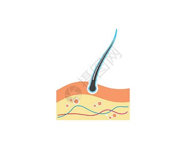皮肤结果发根图标矢量图设计毛孔图表药品皮肤科生物学灯泡插图方案科学血清插画