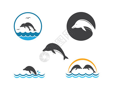 海豚标志图标 vecto卡片插图品牌圆圈标签海浪身份商业白色蓝色插画