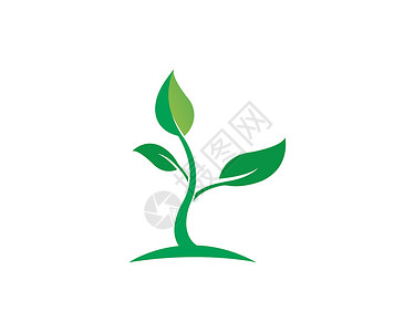 树叶矢量标志生物环境标识插图生态生长绿色商业植物背景图片
