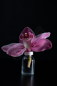 在一个迷你玻璃瓶的水里放着美丽的精致兰花 小玻璃罐和兰花花瓣花束水中花房间花园水花叶子生长植物学花盆背景图片